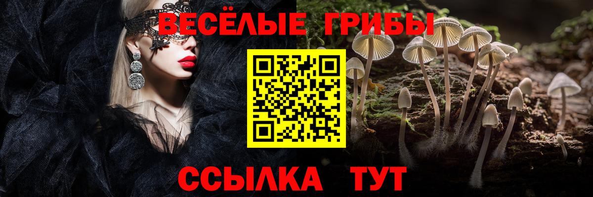 Псилоцибиновые грибы MAGIC MUSHROOMS Бутурлиновка
