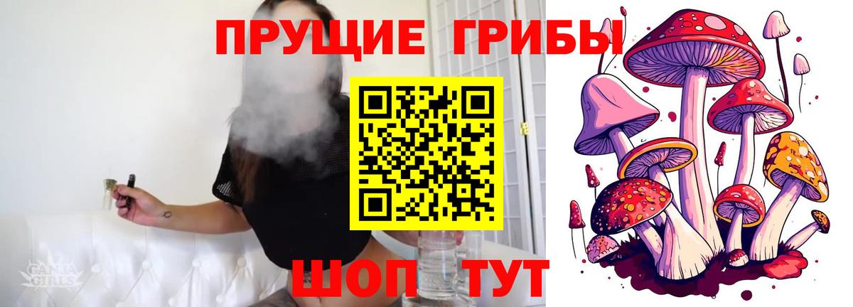 Псилоцибиновые грибы Psilocybe  Вход с VPN  Бутурлиновка 
